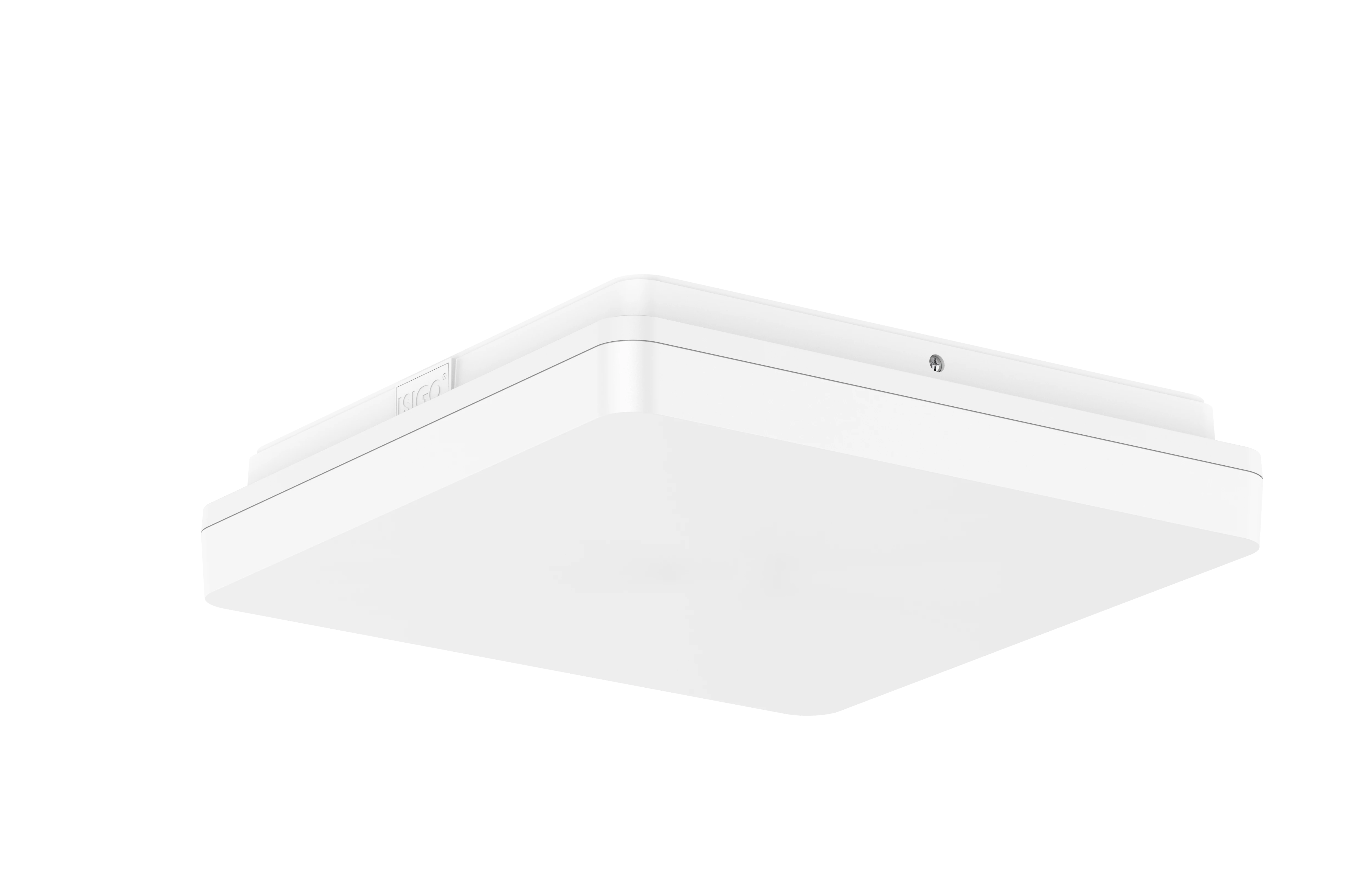 ISIGO 300 × 300