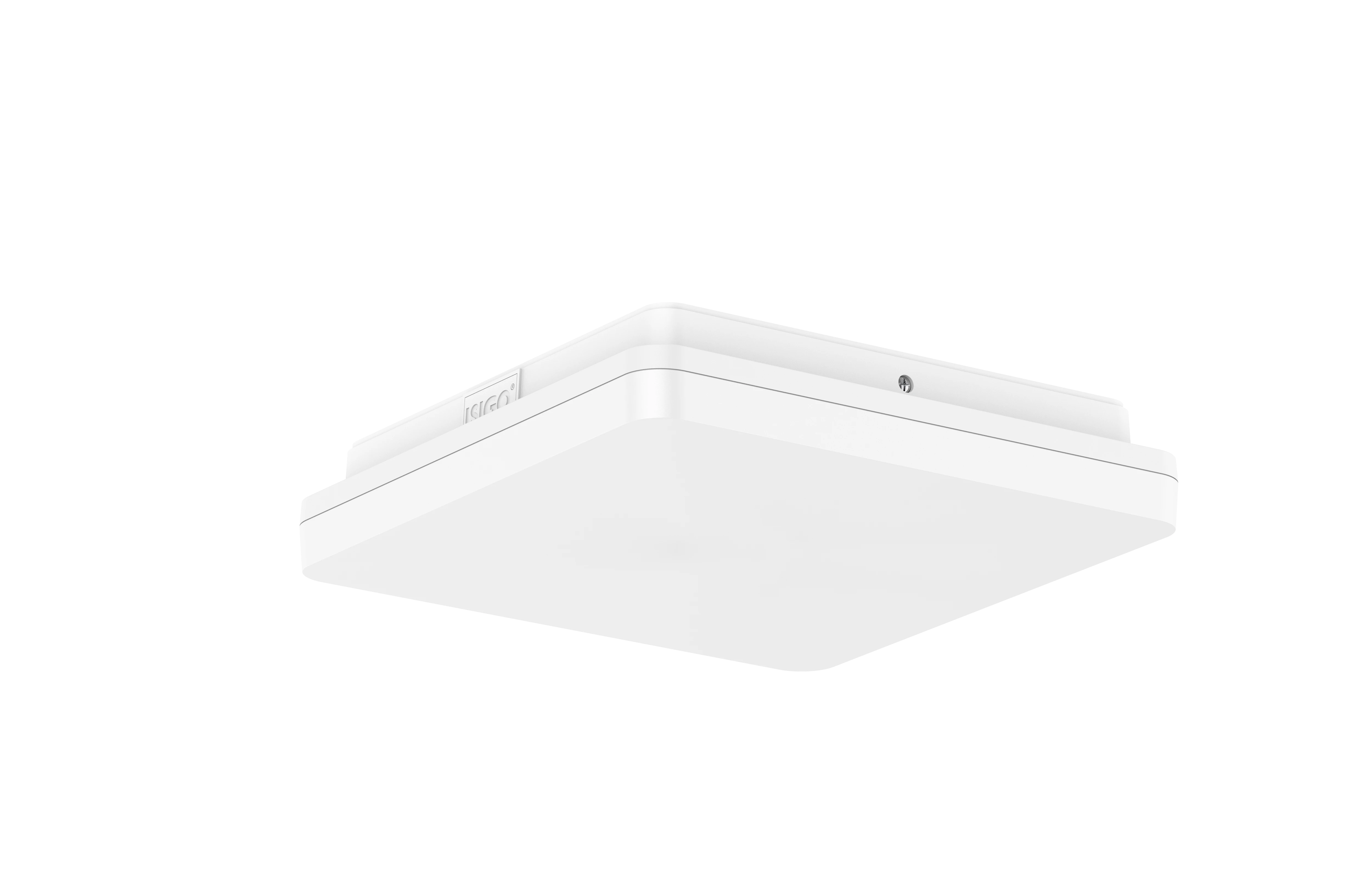 ISIGO 250 × 250